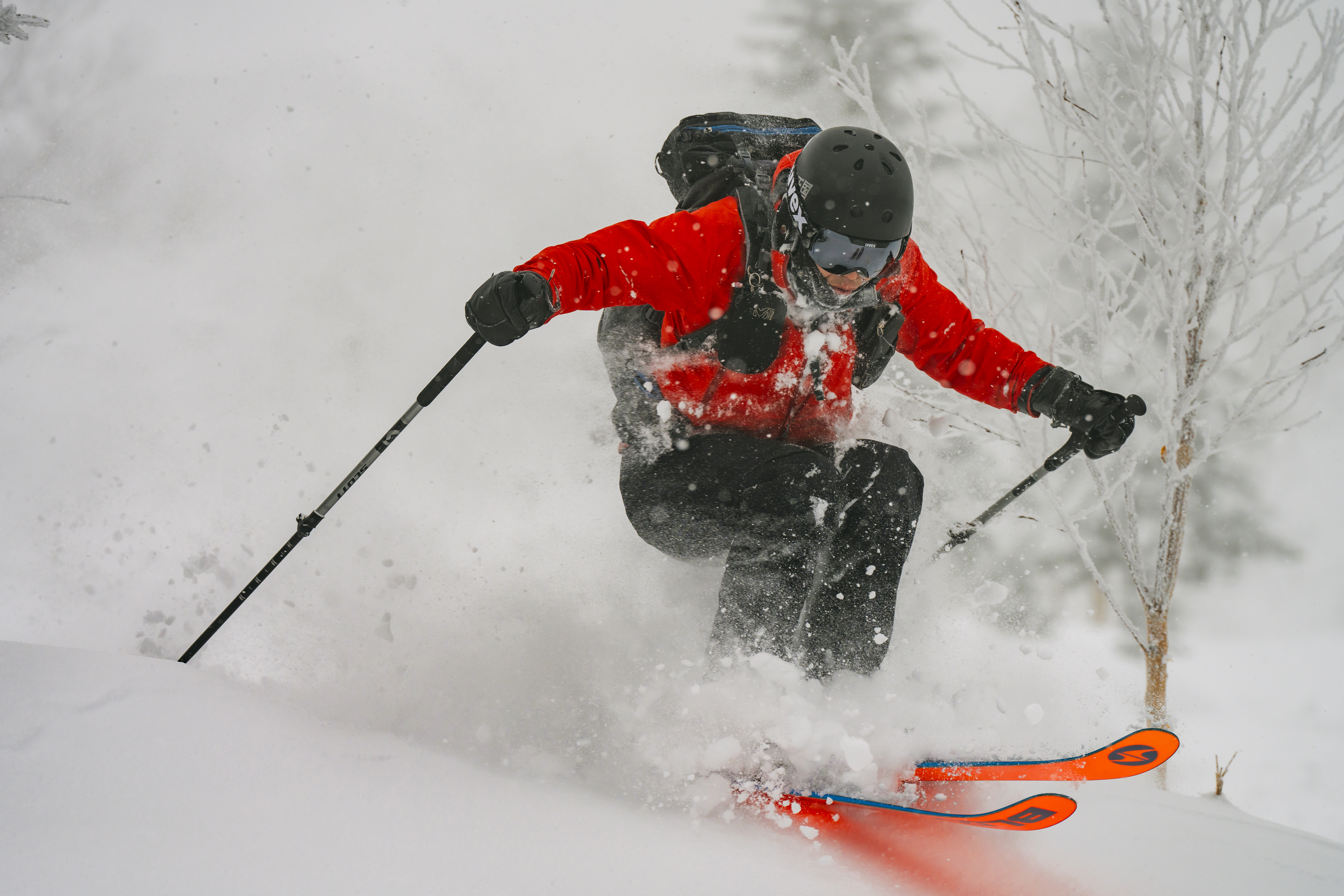 Backcountry powder