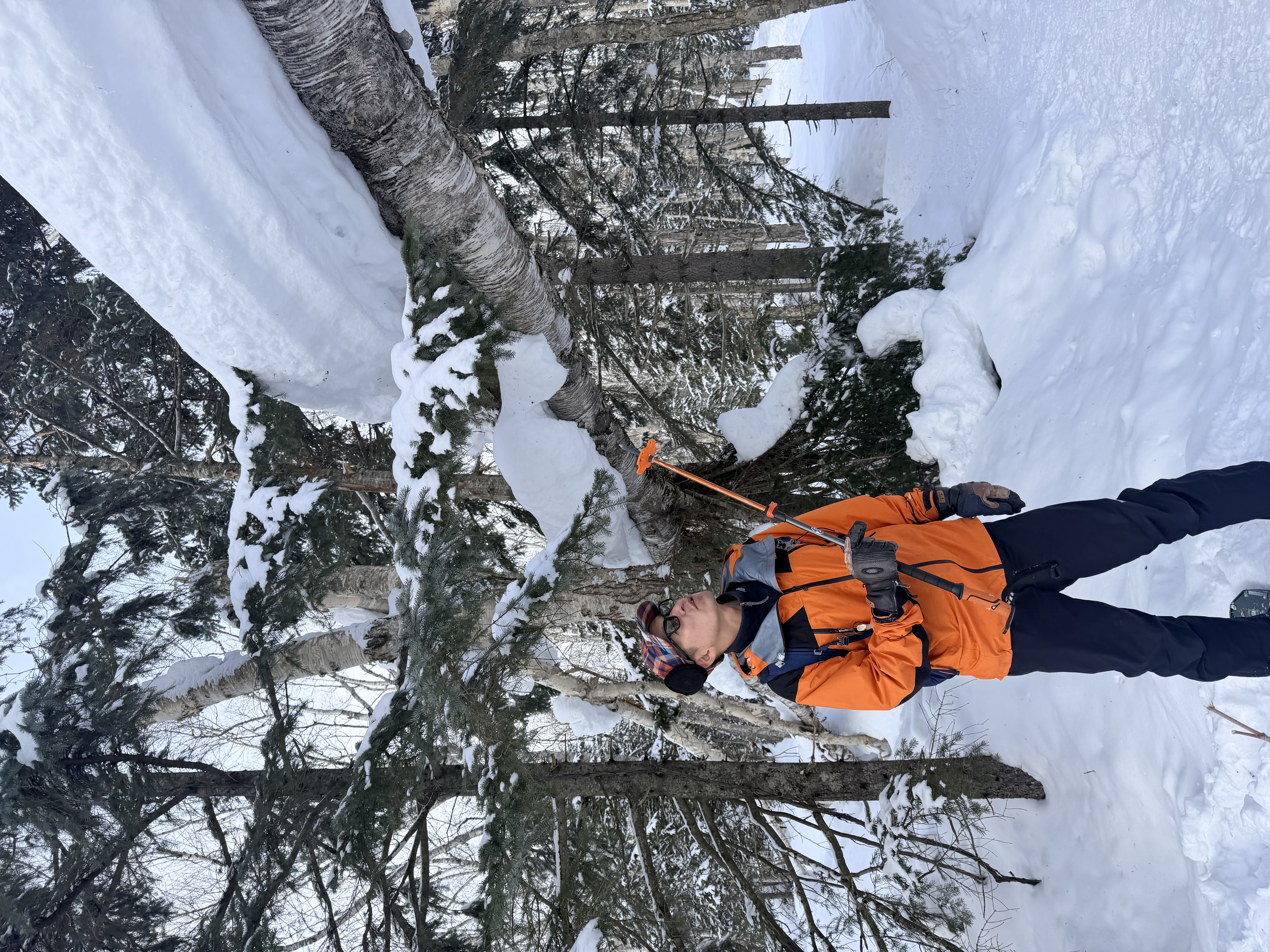 Snowshoe group